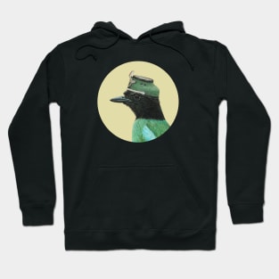 Hooded pitta Hoodie